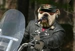bullbiker_126.jpg
