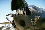 b_25_nose_open_118.jpg