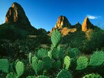 sunrise_light_on_prickly_pear_cacti_and_the_superstition_mountains_apache_trail_arizona_339.jpg