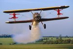 stearmanwingwalk_183.jpg