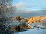 winter_scene_2_116.jpg