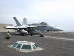 gw_horn204cat_197.jpg