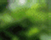 girafe2_214.gif