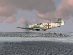 lwg91_207.jpg