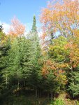 IMG_1963.jpg