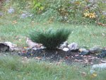 IMG_1956.jpg
