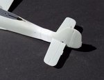 14_White band_0445.jpg