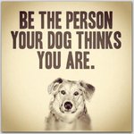 be-the-person-your-dog-thinks-you-are-clever-quotes.jpg