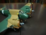 DSC08252.jpg
