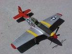 P-51iMadeForTuskegee@cityhall.JPG