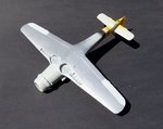 23_Silver NMF lower surface_0636.jpg