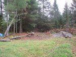 IMG_1977.jpg