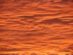 IMG_9980.JPG
