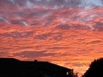 IMG_9983.JPG