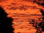 IMG_9987.JPG