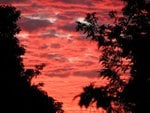 IMG_9990.JPG