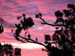 IMG_9991.JPG
