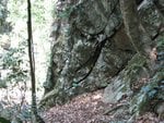 IMG_0005.JPG