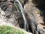 IMG_0041.JPG