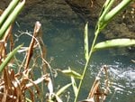 IMG_0051.JPG