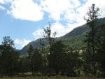 IMG_0062.JPG