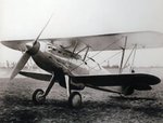 421840_532922120093943_20972930_n.jpg
