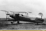 go-145.jpg