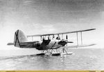 avc_00314805.jpg