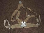 Spit seat harness.jpg