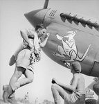 Nose art Dvdsn D 450 Sqdn.jpg