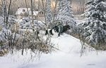 0_7cb5e_cc1bff35_orig.jpg