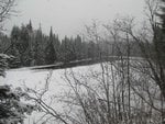 IMG_2034.jpg