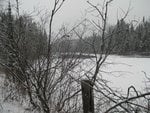 IMG_2035.jpg