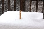 Snow12.06.13R.jpg