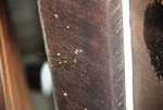IMG_0670R.jpg