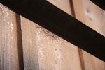 IMG_0684R.jpg