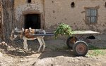 640px-Donkey_cart_R01.jpg