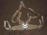 Spit seat harness.jpg