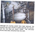 P-40 underside plumbing 1.jpg