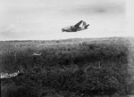 22sqnRAAF40.jpg