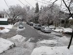 IMG_2041.jpg