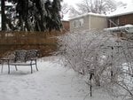IMG_2042.jpg