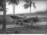AWM_026647_P-40_Milne.jpg