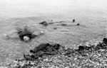 Canadian-dead-at-Dieppe-August-1942.jpg