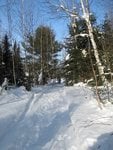 IMG_2062.jpg