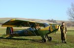 auster1.jpg