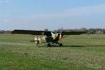 auster3.jpg