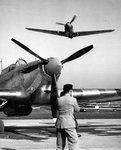 Hawker Hurricane5.jpg