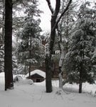 IMG_2072.jpg