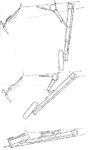 image001.gif